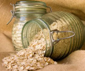 Backyard Bird Feeders See Surge in Demand as Experts Recommend Safe Kitchen Scraps for Autumn Survival