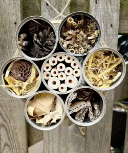From Kitchen Pantry to Garden Shed: Innovative Ways to Upcycle Tin Cans