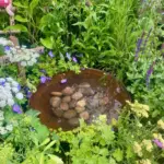 Jennifer Aniston’s Bel Air Koi Pond Sparks Internet-Wide Fascination and a New Trend in Garden Design