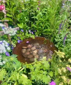 Jennifer Aniston’s Bel Air Koi Pond Sparks Internet-Wide Fascination and a New Trend in Garden Design