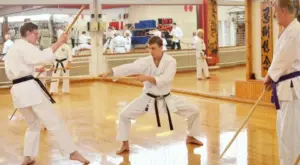 Reviving the Lost Art of Okinawan Kobudo: New Online Course Launches to Preserve Traditional Weaponry