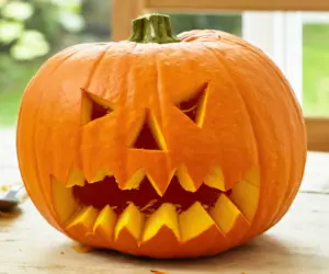What’s Your Birth Month Pumpkin? Discover the Perfect Halloween Carving Design For You (And Its Meaning)